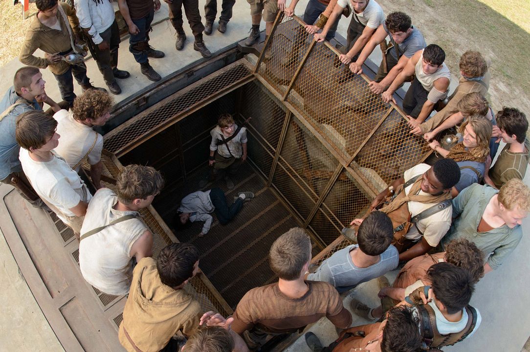 Maze Runner - Correr ou Morrer : Fotos
