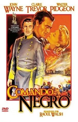 Comando Negro : Poster