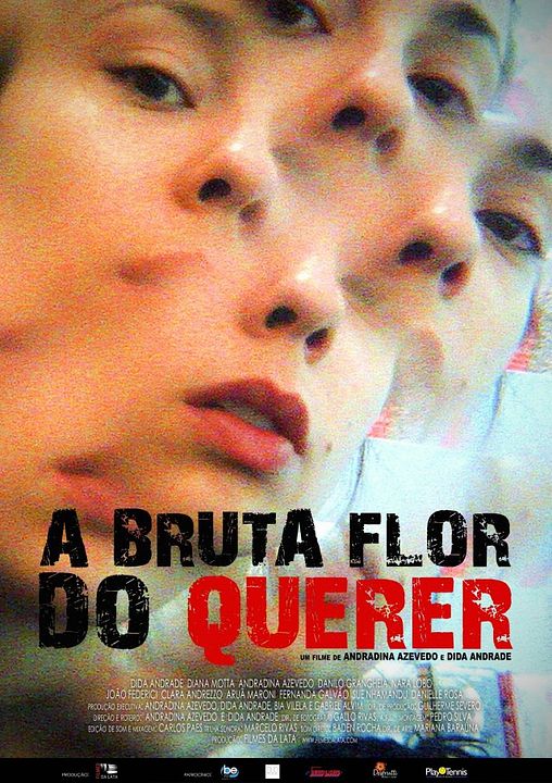 A Bruta Flor do Querer : Poster