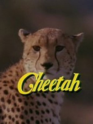 Cheetah – Uma Aventura na África : Poster