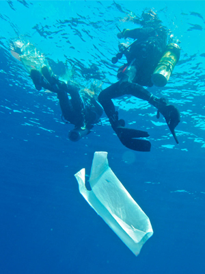 Oceanos de Plástico : Poster