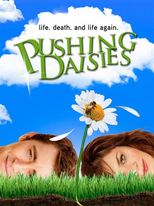 Pushing Daisies : Poster