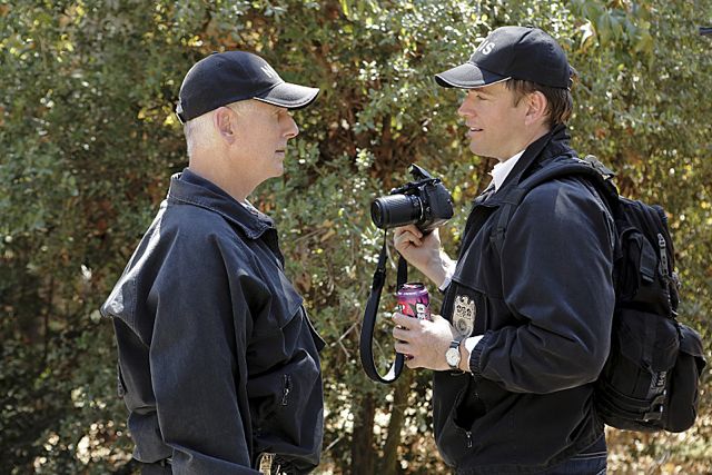 Fotos Mark Harmon, Michael Weatherly