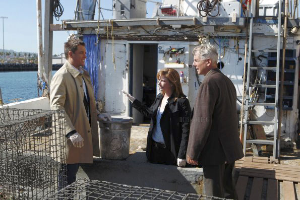 Fotos Michael Weatherly, Diane Neal, Mark Harmon