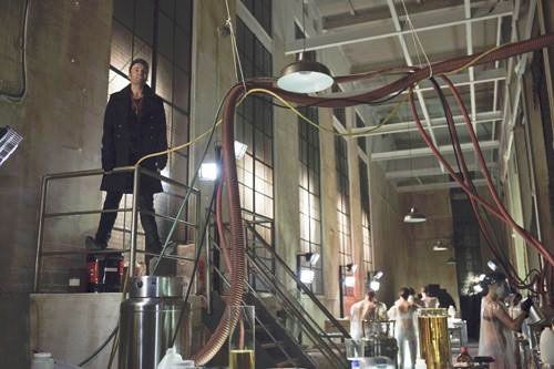 Arrow : Fotos Seth Gabel
