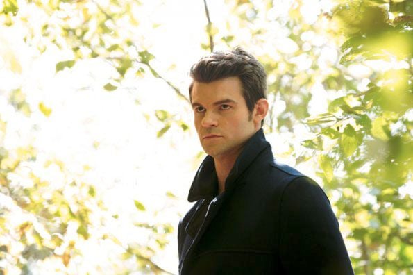 The Originals : Fotos Daniel Gillies