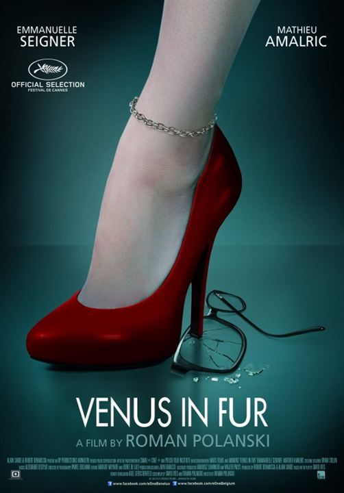 A Pele de Vênus : Poster