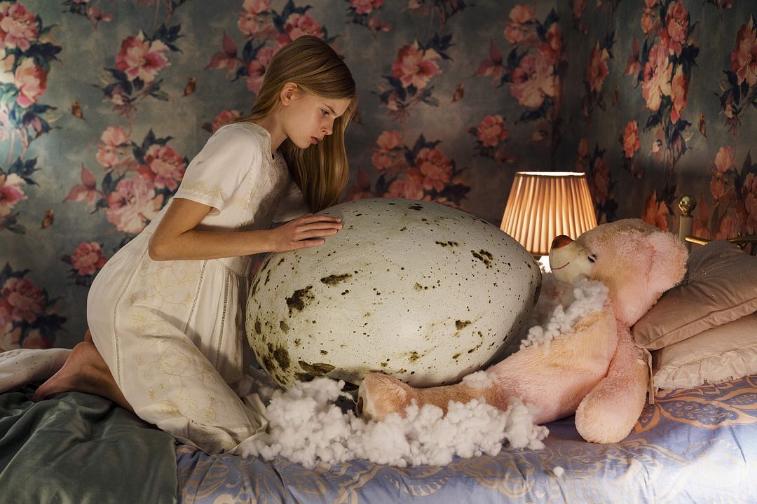 Hatching : Fotos