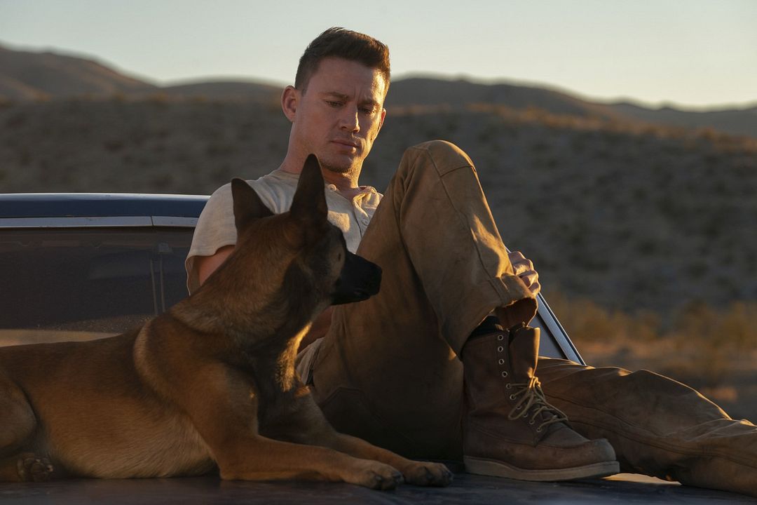 Dog - A Aventura de Uma Vida : Fotos Channing Tatum