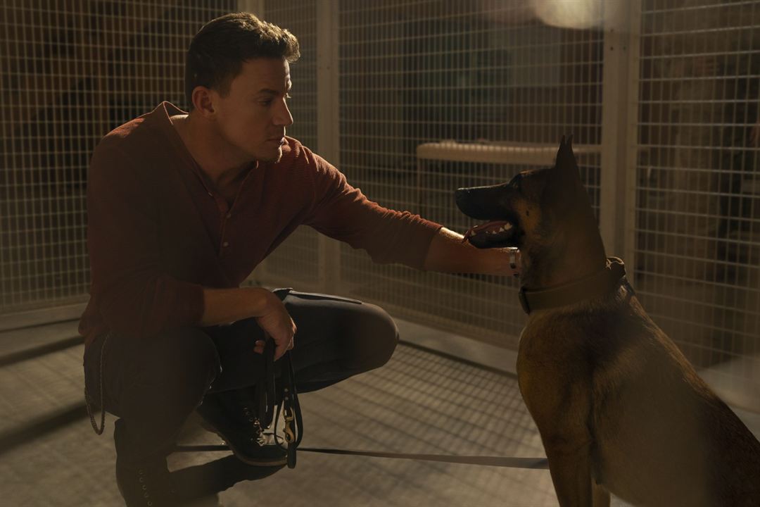 Dog - A Aventura de Uma Vida : Fotos Channing Tatum