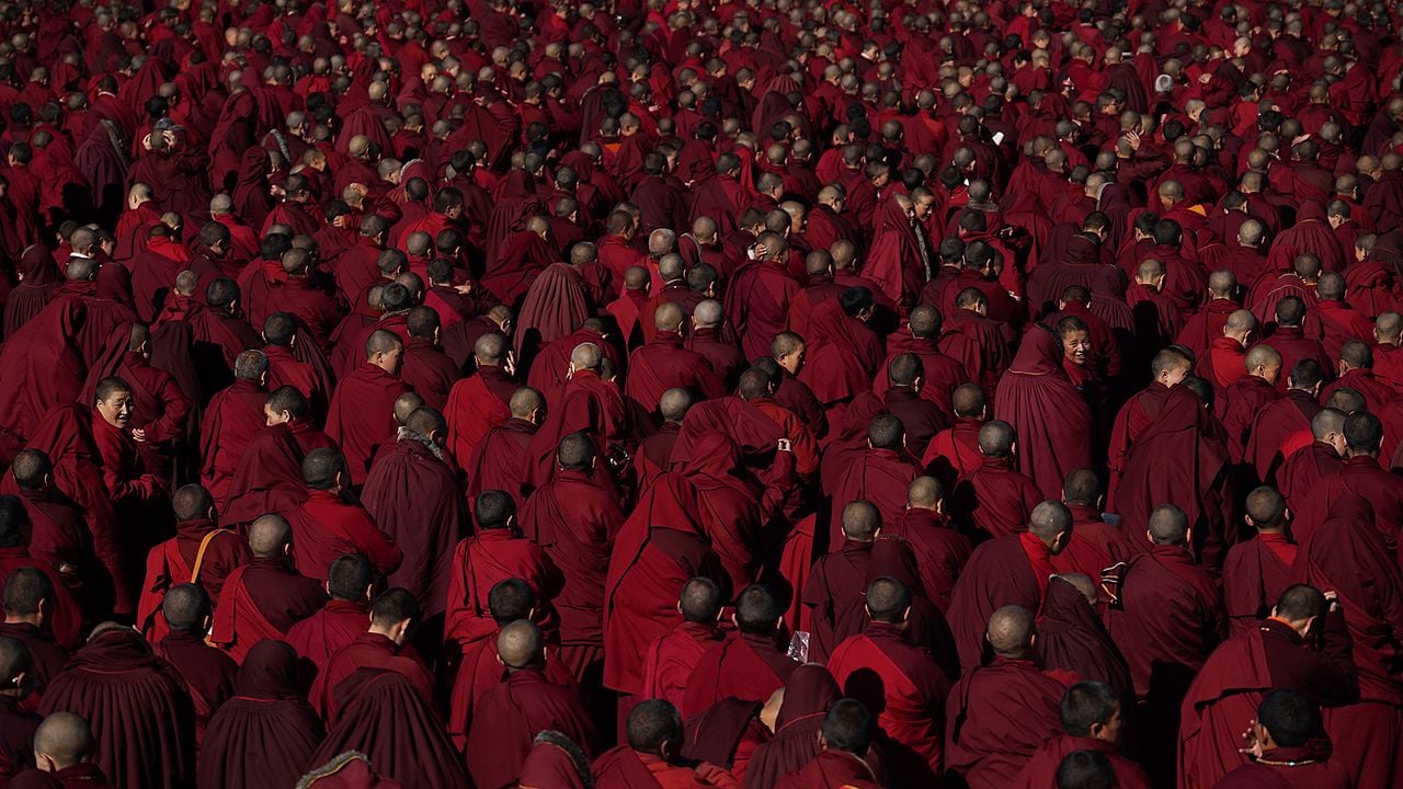 Floresta Vermelho Escuro: Monjas Budistas no Tibet : Fotos