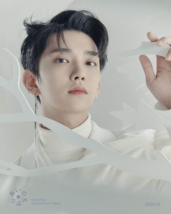 Poster JOSHUA