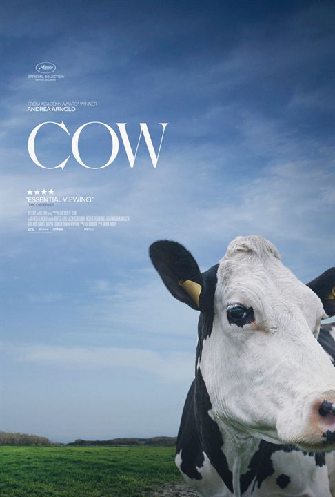 Cow : Poster