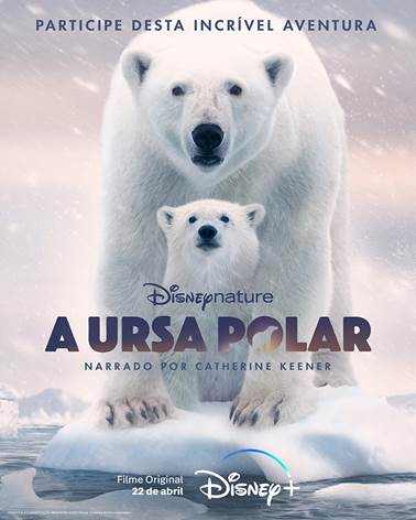 A Ursa Polar : Poster