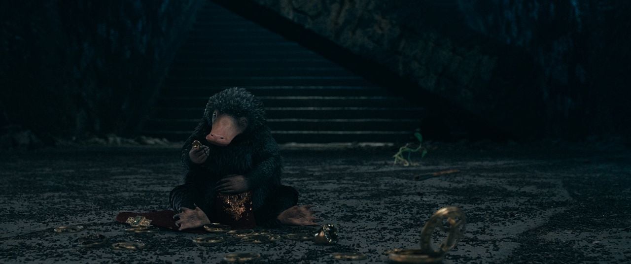 Animais Fantásticos: Os Segredos de Dumbledore : Fotos