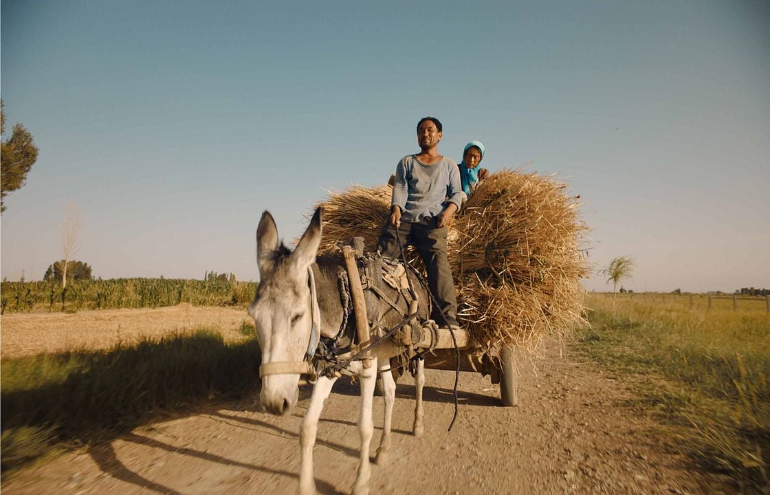 Return to Dust : Fotos Hai-Qing, Wu Renlin