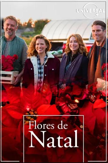Flores de Natal : Poster
