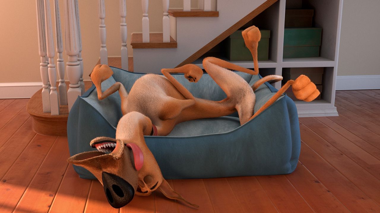 Marmaduke : Fotos