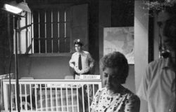 Rosinha do Sobrado : Fotos