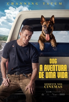 Dog - A Aventura de Uma Vida : Poster