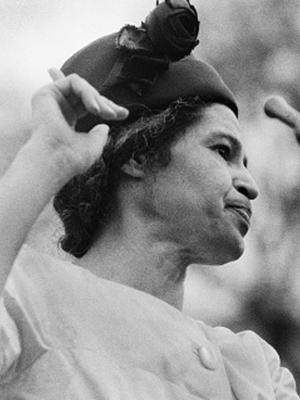 The Rebellious Life of Mrs. Rosa Parks : Poster