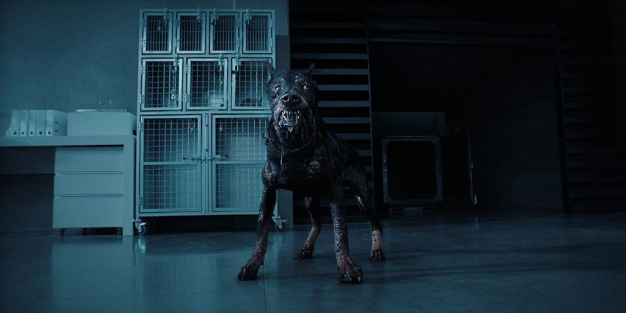 Resident Evil: A Série : Fotos