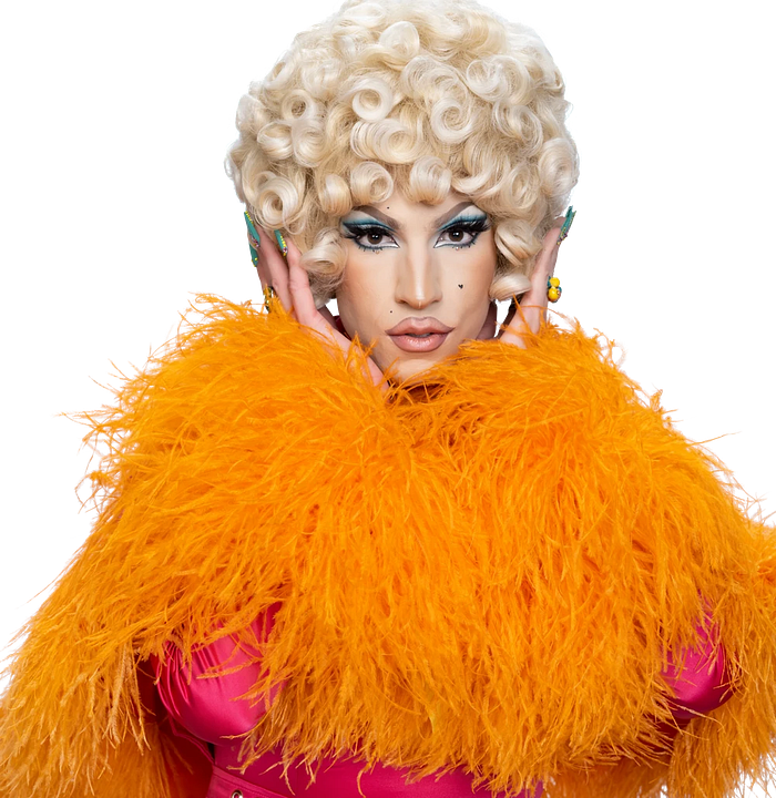 Revista Vivian Vanderpuss