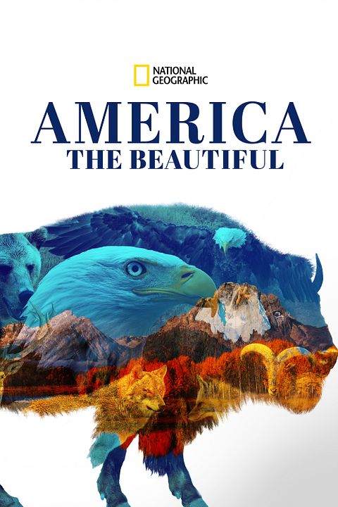 America the Beautiful : Poster