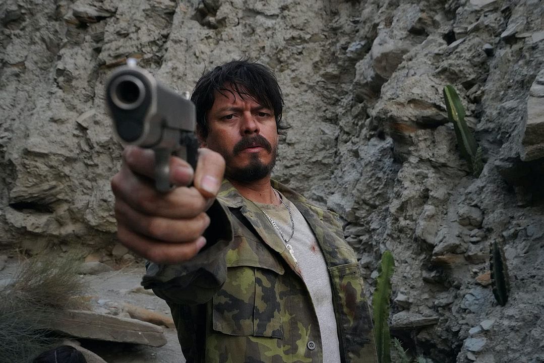 Borrego : Fotos