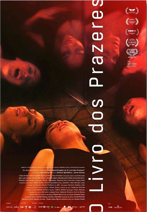 O Livro dos Prazeres : Poster