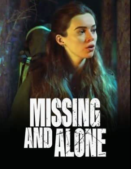 Missing and Alone : Poster