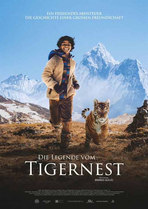 O Menino e o Tigre : Poster