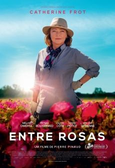 Entre Rosas : Poster