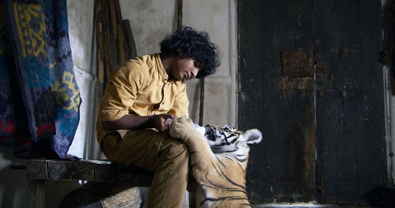 O Menino e o Tigre : Fotos Sunny Pawar