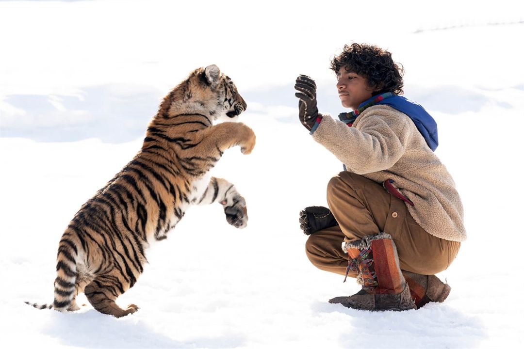 O Menino e o Tigre : Fotos Sunny Pawar