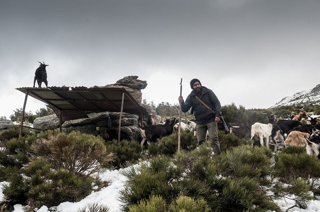 Fotos Jesús Carroza