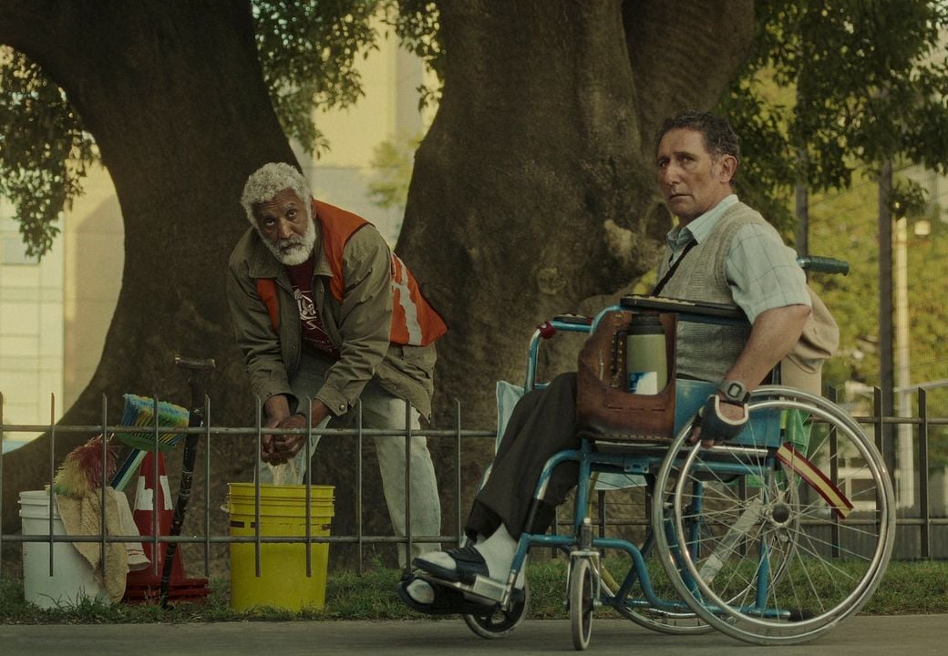 A Vida de Togo : Fotos Diego Alonso, Néstor Prieto