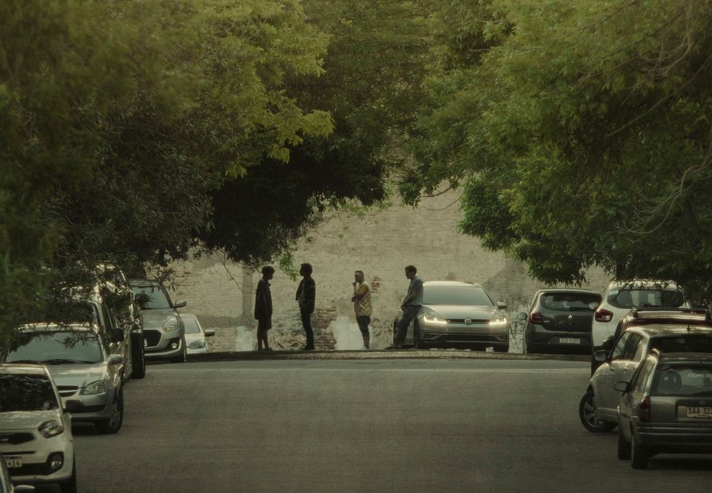A Vida de Togo : Fotos