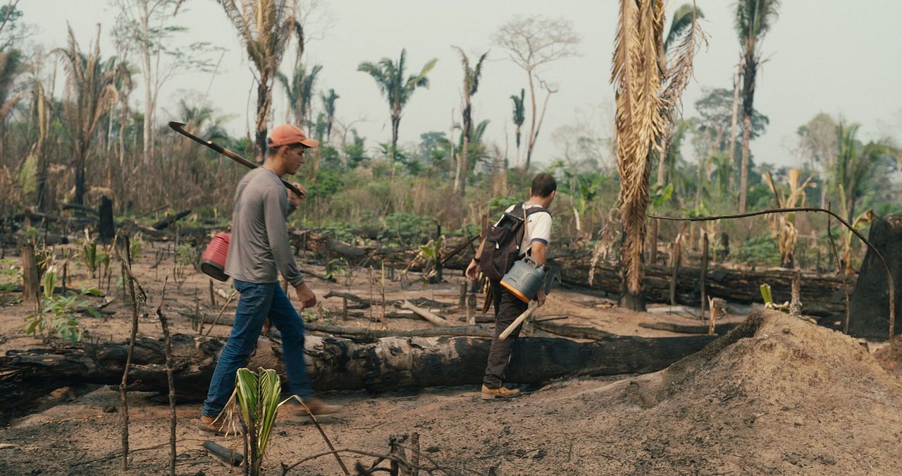 O Território : Fotos