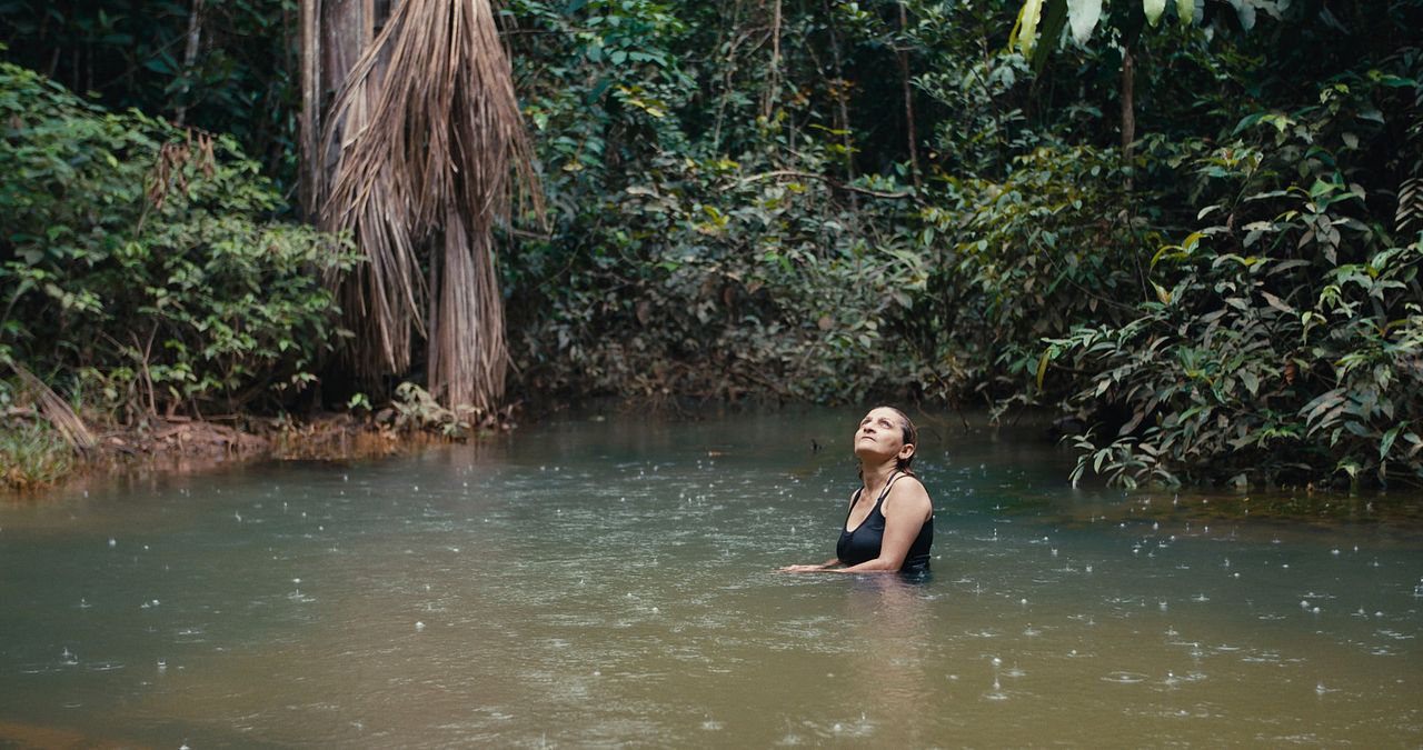 O Território : Fotos