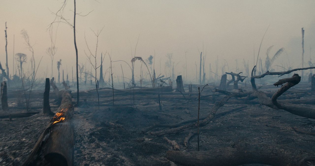 O Território : Fotos