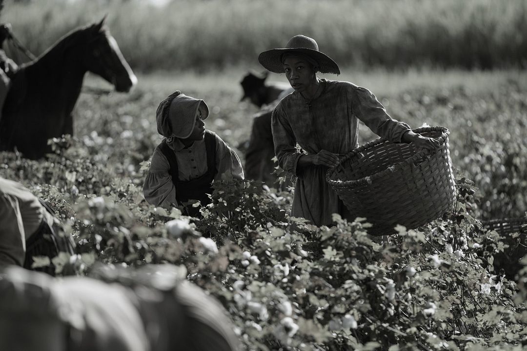 Emancipation - Uma História de Liberdade : Fotos Charmaine Bingwa