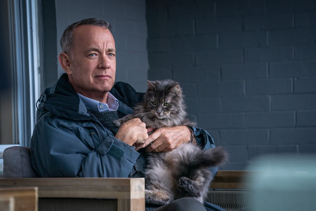 O Pior Vizinho do Mundo : Fotos Tom Hanks