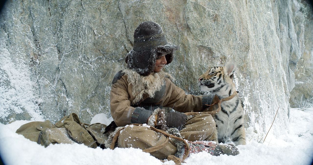 O Menino e o Tigre : Fotos Sunny Pawar