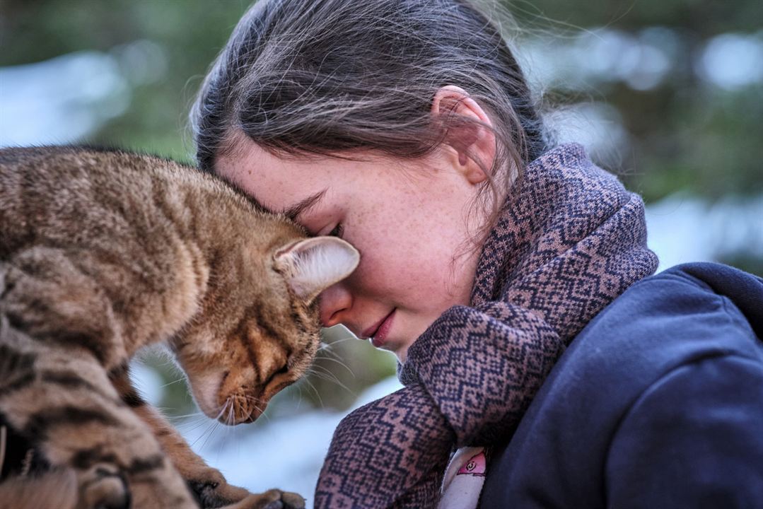 A Cat's Life : Fotos Capucine Sainson-Fabresse