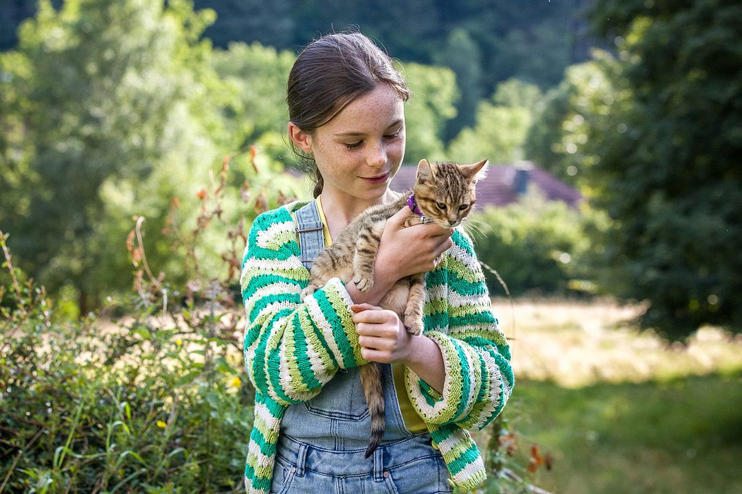 A Cat's Life : Fotos Capucine Sainson-Fabresse