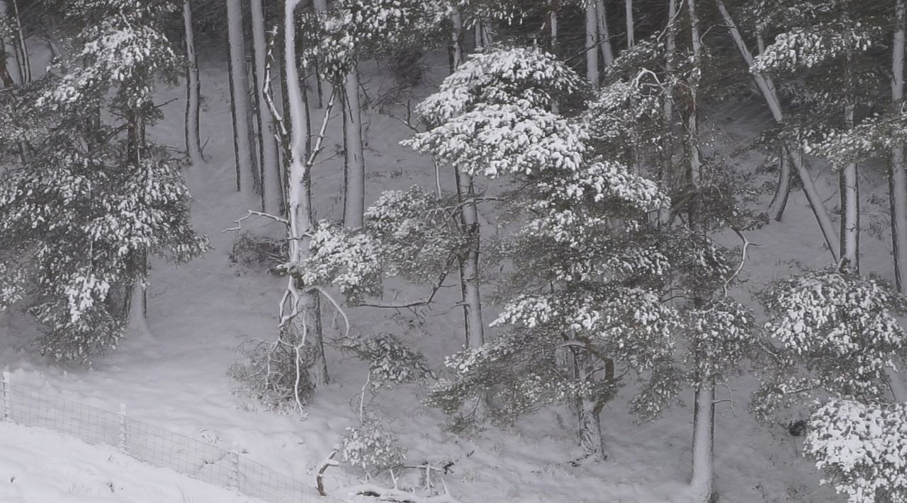 A História do Olhar : Fotos