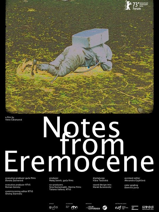 Notes from Eremonce : Poster