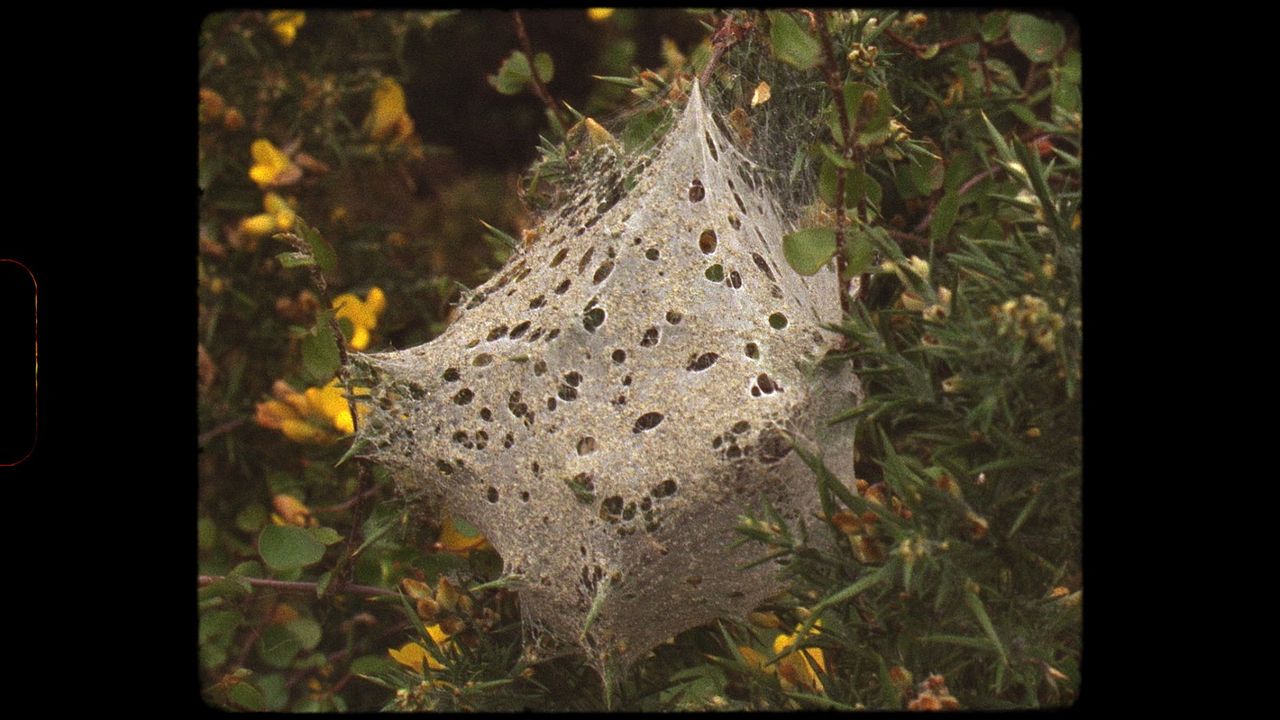 Notes from Eremonce : Fotos