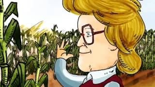 Um Cientista, Uma História : Fotos